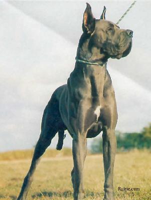 Gunther Du Chateau De Siorac