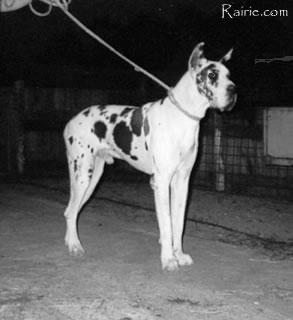 Hades Du Chateau De Terrefort