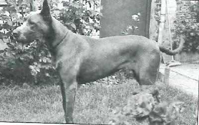 Ch Edit Du Domaine De La Pal Lombiere