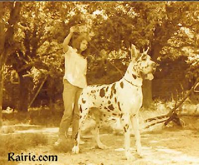 Ch Orlow Du Domaine De L�empereur