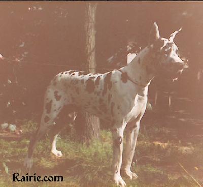Ch Orlow Du Domaine De Lempereur