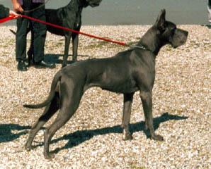 Marine Du Domaine De Mont Mery