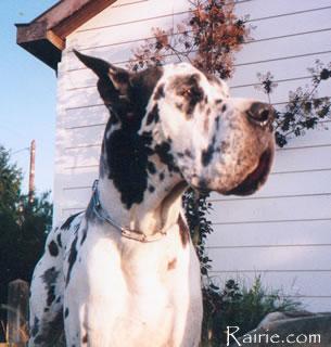 Hans Du Domaine De Valdemar