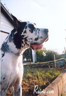 Hans Du Domaine De Valdemar