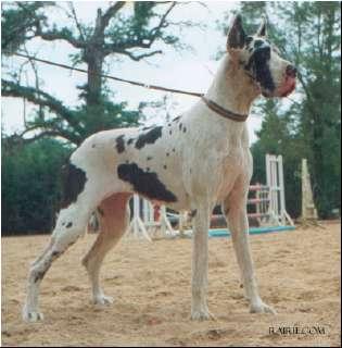 Honey Moon Du Domaine De Valdemar