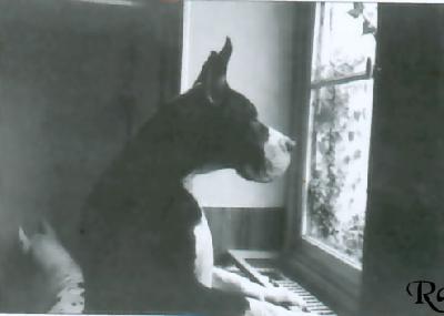 Lolita Hayze Du Domaine De Valdemar