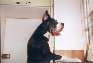 Lolita Hayze Du Domaine De Valdemar