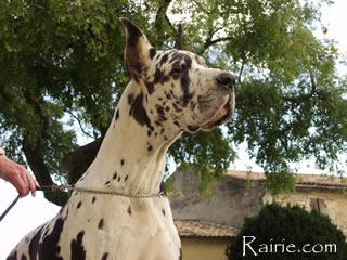 Noztalgia Du Domaine De Valdemar