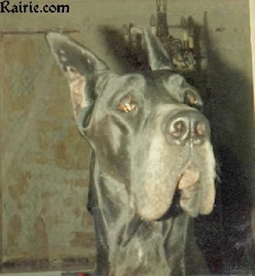 Vania Du Domaine De Valdemar