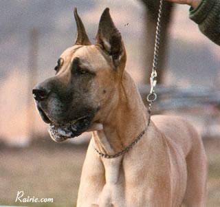 Noella Du Gui De La Michardiere