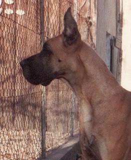 Rafaela Du Gui De La Michardiere