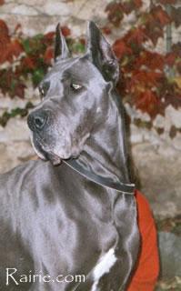 Diaspora Du Mas  Du Galoubet