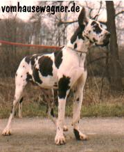 Agios Du Monbas De La Valterie