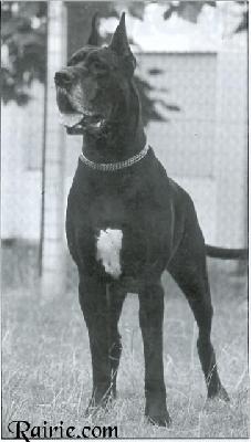 Helodie Du Val De L�amitie