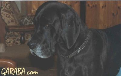 Jeremie Du Val De L�amitie