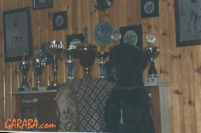 Jeremie Du Val De Lamitie