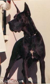 Lilya Du Val De L�amitie