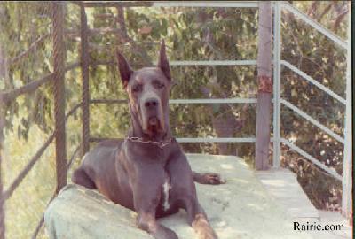 Lilya Du Val De L�amitie