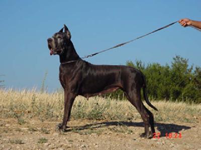 Melodie Du Val De L�amitie