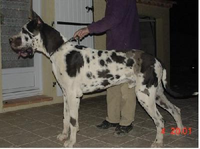 Melodie Du Val De L�amitie