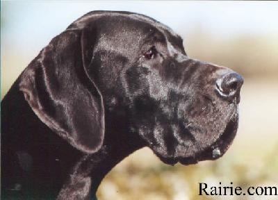 Orchidee Du Val De Lamitie