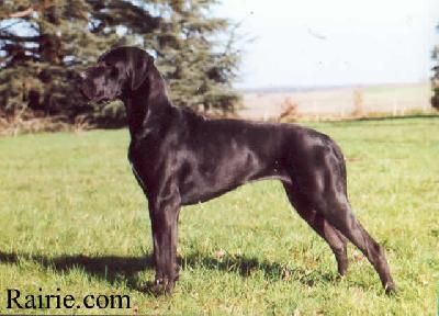 Orchidee Du Val De Lamitie