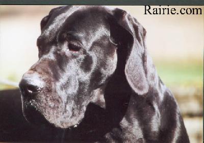 Orchidee Du Val De Lamitie