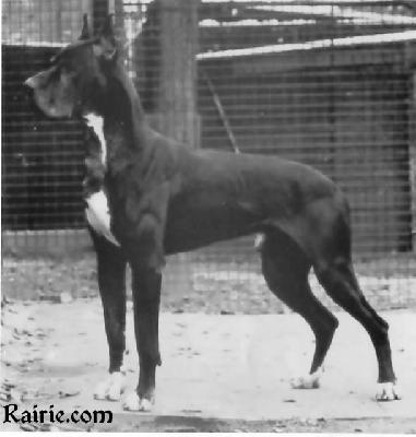 Xantos Imperial