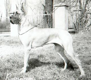 Olympia Odyla Pacifik