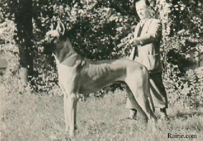 Bandit Trutz   Und Treu