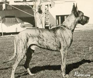 Enato Trutz Und Treu