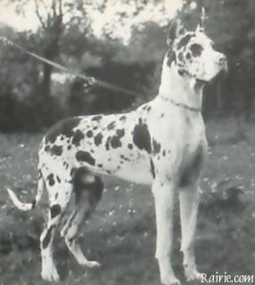 Karat Van De Brentjes