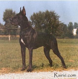 Bismarck Vom Blauen See