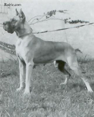 Arabell Vom Grebenstein