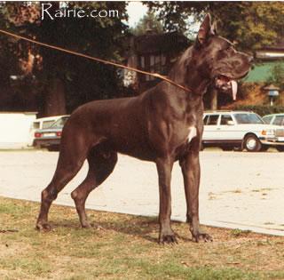 Antonius Vom Gudensberger Goldbachtal