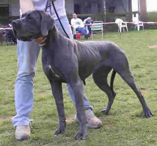 Alissa Vom Hambacher Forst