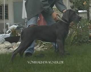 Alissa Vom Hambacher Forst