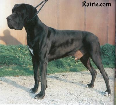 Hemingway Vom Haus Tiefenbach