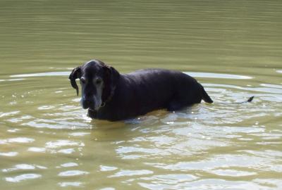 Anette Vom Hause Wagner