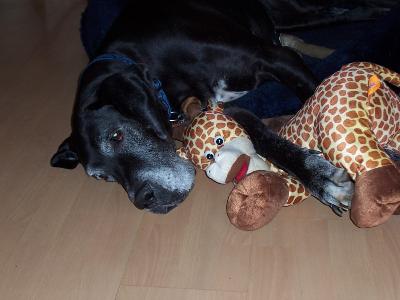 Anette Vom Hause Wagner