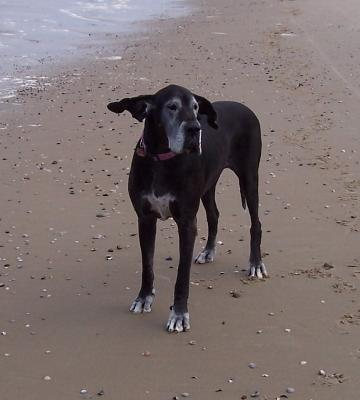 Anette Vom Hause Wagner