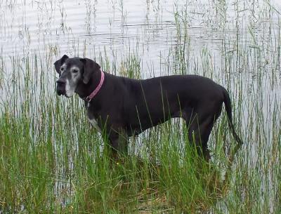 Anette Vom Hause Wagner