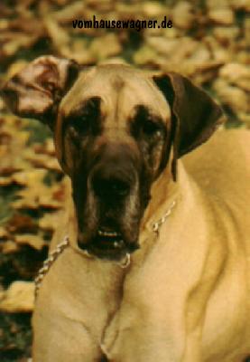 Anika Vom Hause Wagner