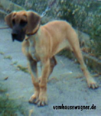 Anja Vom Hause Wagner