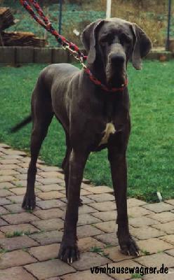 Debora Vom Hause Wagner