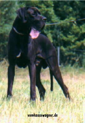 Geronimo Vom Hause Wagner