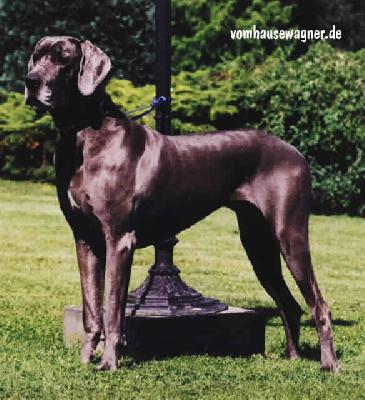 Giulia Vom Hause Wagner