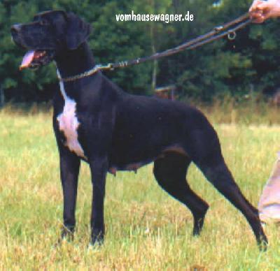 Janette Vom Hause Wagner