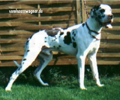 Jonny Vom Hause Wagner