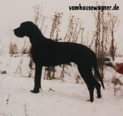 Konstanze Vom Hause Wagner